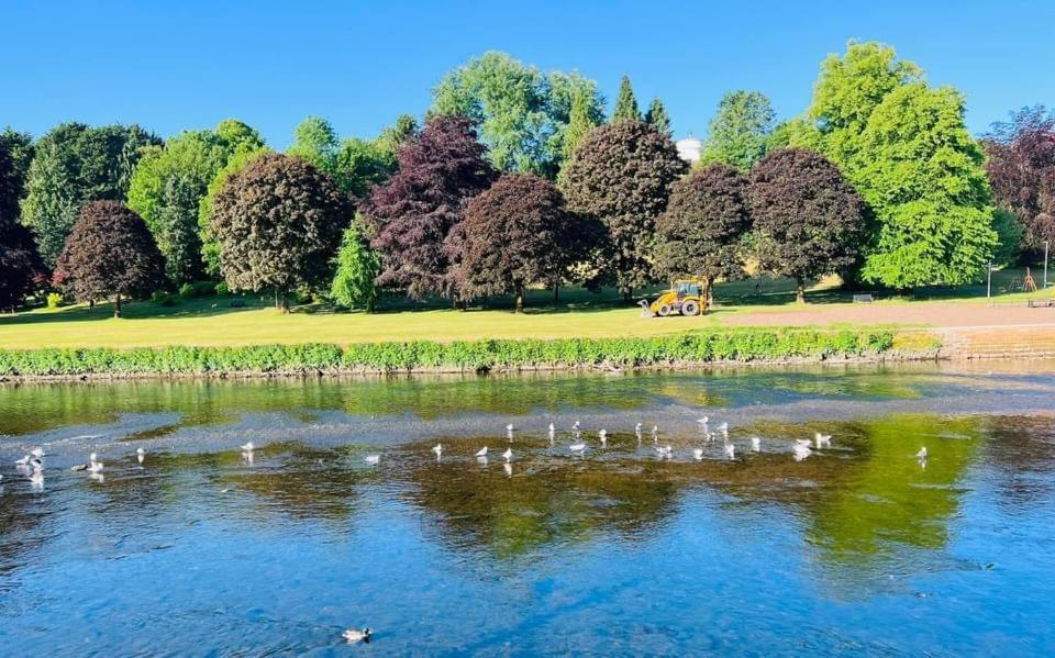 Villa Stunning Period Townhouse With Garden, Walking Distance To Town à Dumfries Extérieur photo